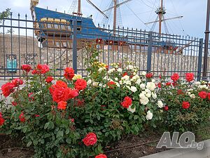 image_17