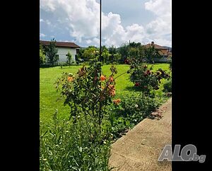 image_18