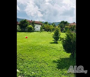 image_19