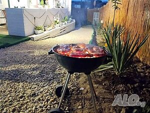image_12