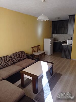 image_11