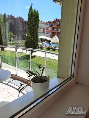 image_8