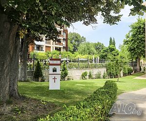 image_51