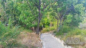 image_33