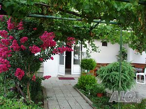 image_19