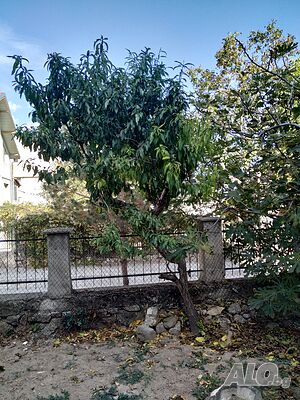 image_15