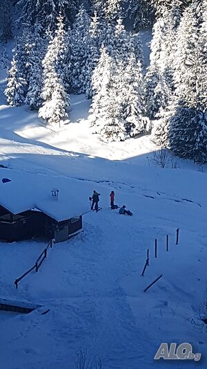 image_11