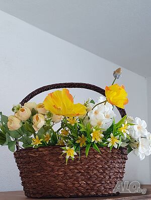image_9