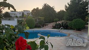image_21