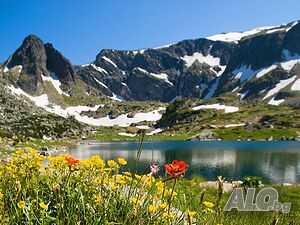 image_23