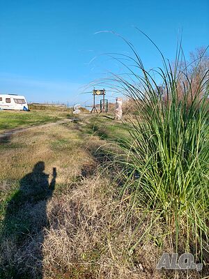 image_34