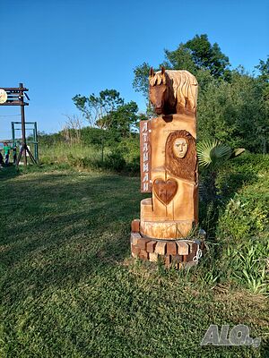image_35