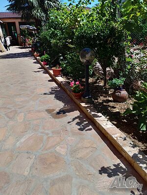 image_12