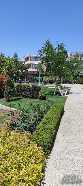 image_17