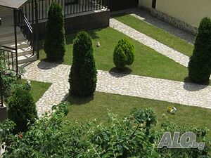 image_5