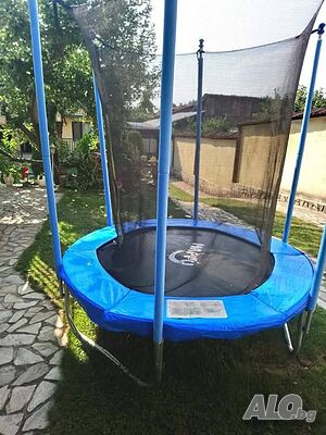 image_6