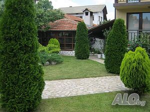 image_9