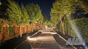 image_32