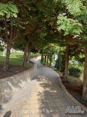 image_7