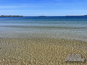 image_19