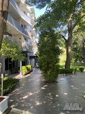 image_3