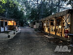 image_11