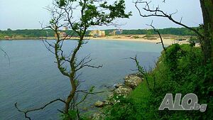 image_8