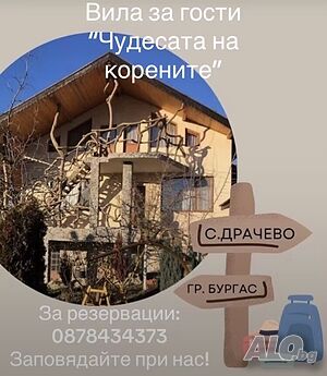 Легло в стая Вила за гости “Чудесата на корените”