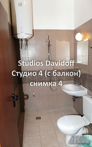image_11