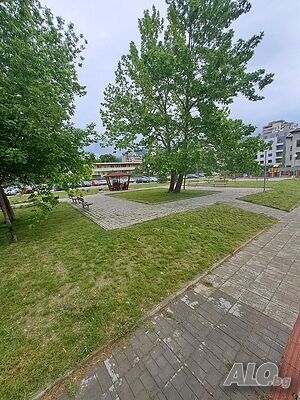 image_9