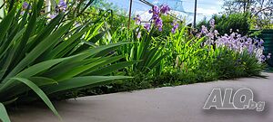 image_20