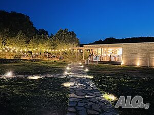 image_39