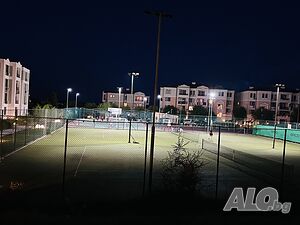 image_41
