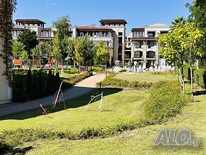 image_33