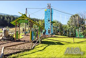 image_11