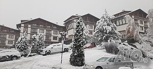 image_18