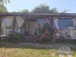 image_11