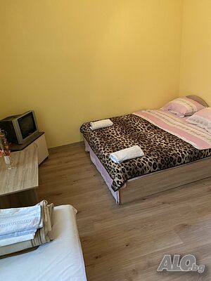 image_4