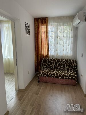 image_11