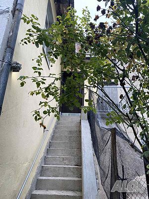 image_20