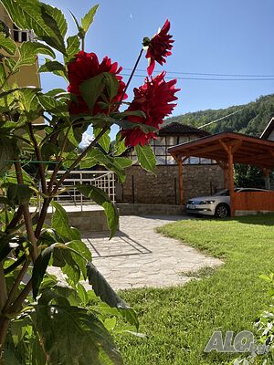 image_30