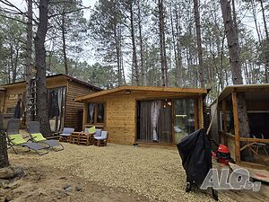 image_13