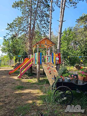 image_11