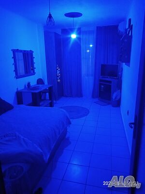 image_9