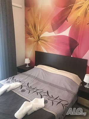 image_6