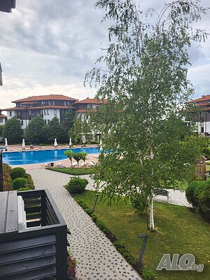 image_17