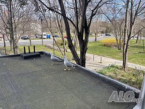 image_11