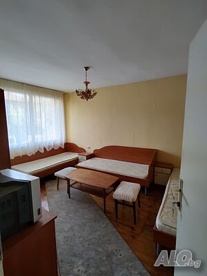 Стая под наем Стаи под наем за ПЕРСОНА