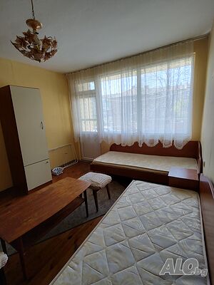 Стая под наем Стаи под наем за ПЕРСОНА