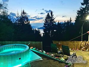 image_46